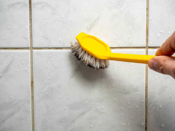  Sherman, TX Mold Removal Pros