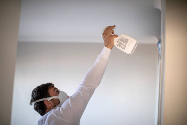 Best Mold Removal Company Near Me  in Sherman, TX
