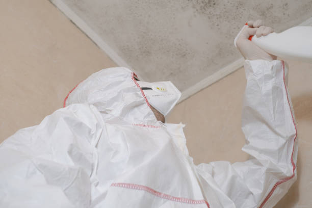 Best Mold Remediation  in Sherman, TX