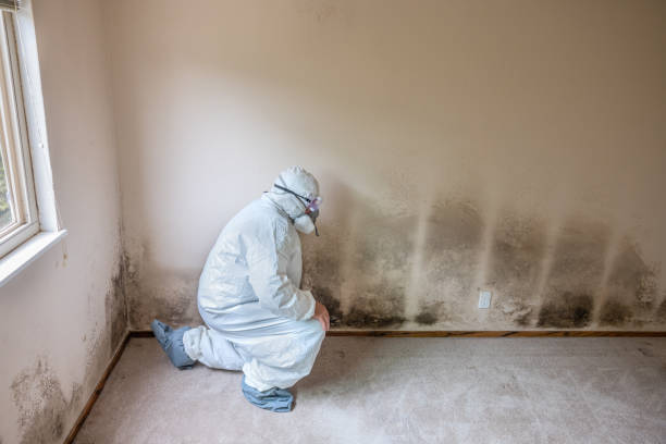 Best Crawl Space Mold Removal  in Sherman, TX